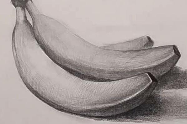 素描怎么画香蕉，首先要准确绘制出其轮廓和遮挡关系