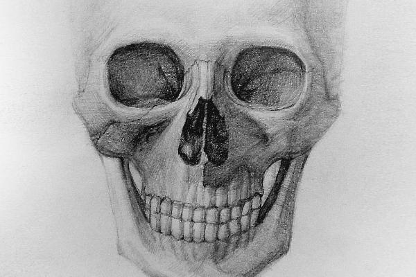 绘画人体头骨的基本结构，由额骨、眉弓、眼眶等部位组成