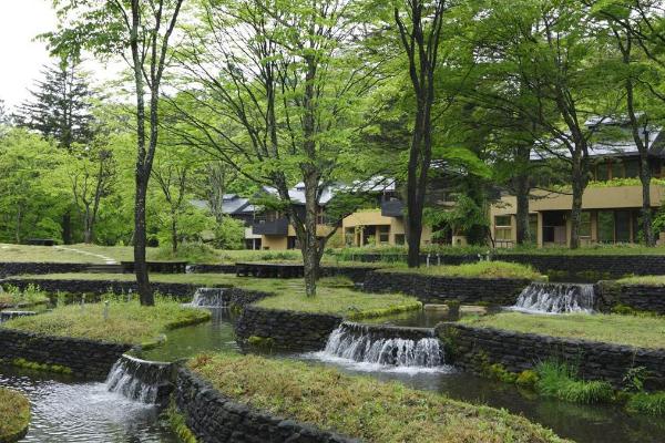 景观设计日本大学排名