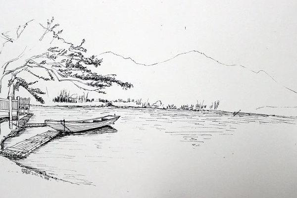 风景速写怎么画树