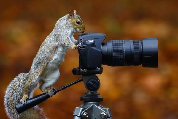 摄影爱好者用什么相机