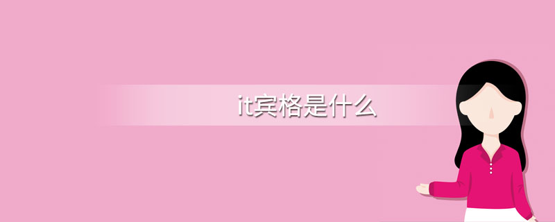 it宾格是什么