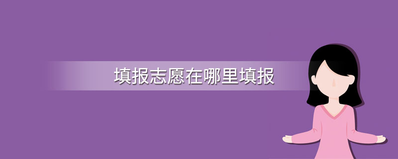 填报志愿在哪里填报