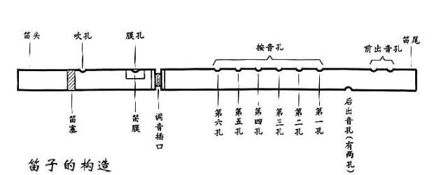 笛子的结构图片