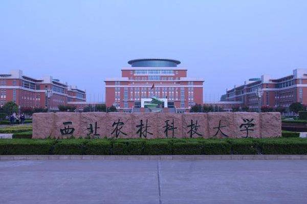 985是什么大学