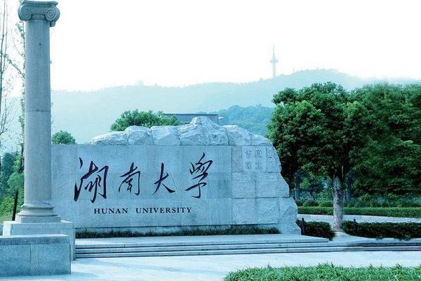 985是什么大学