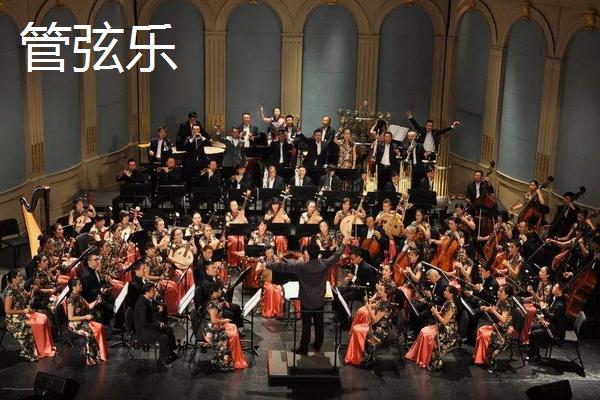 红领巾吃瓜网友科普：什么是管弦乐的魅力与历史