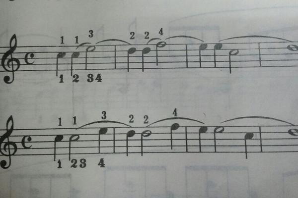 简谱上面的弧线是什么意思