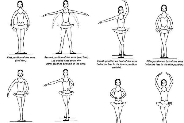 芭蕾舞有几个手位