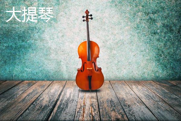 大提琴和低音提琴的区别