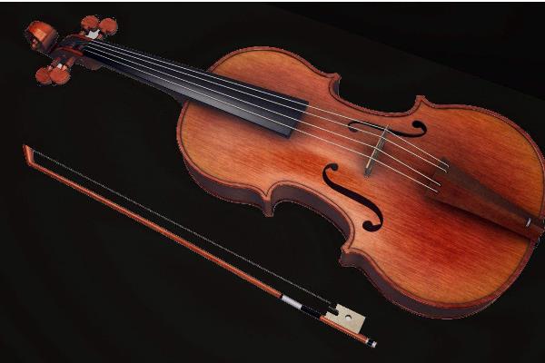 大提琴和低音提琴的区别