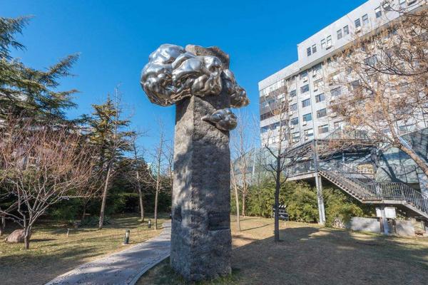 纯文化可以考北影吗