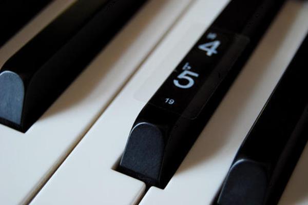 钢琴黑键和白键的区别