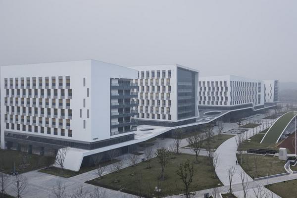 浙江音乐学院录取条件