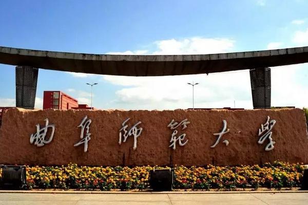 书法生大学可以报考什么专业