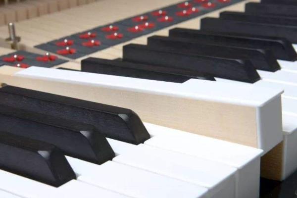 钢琴的黑色键是什么