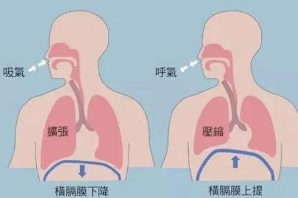 新手怎么学会控制气息，首先就要学会正确呼吸