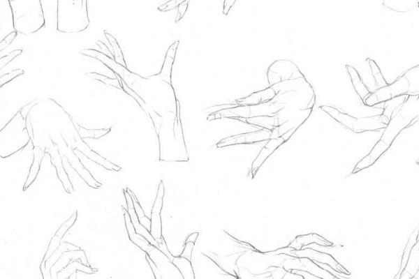 动漫人物的手要怎么画，先了解手部结构