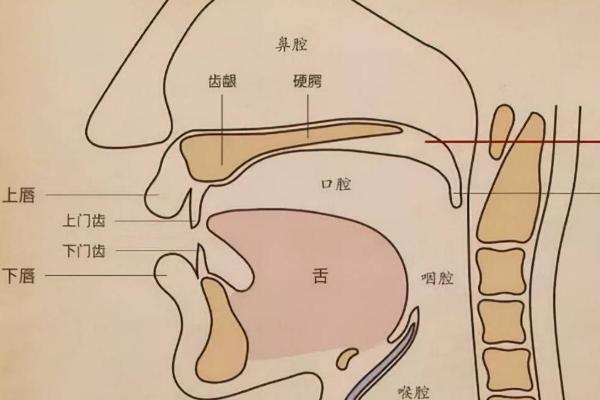 觉得自己的声音不好听怎么办，可以通过声腔、气息等进行发声训练