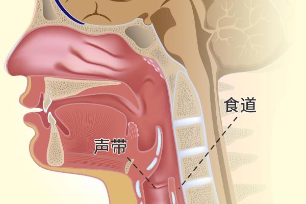 如何知道自己声带坏了，一张口就觉得喉咙疼痛难忍