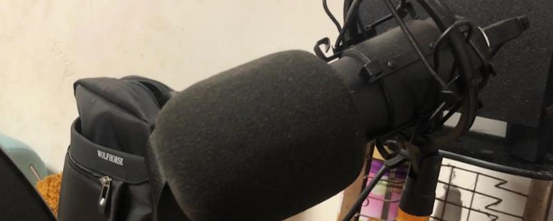 新手小白怎么学配音,普通话是配音的基础