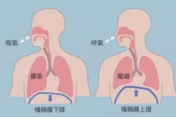 播音主持的舌头的练习有哪些，常见的有饶舌、弹舌和绕口令练习等