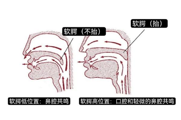 软腭抬起来是啥感觉，会明显感到自己的后半部分属于抬起的姿势