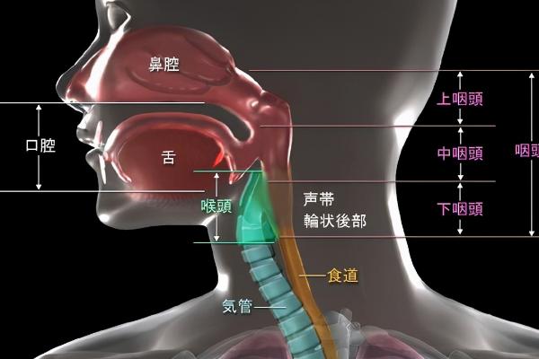 不正确发声的几种方式，常见的有喊叫、喉音、鼻音等