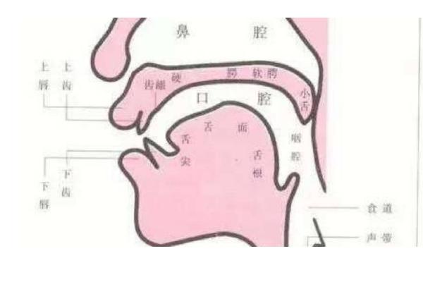 不正确发声的几种方式，常见的有喊叫、喉音、鼻音等