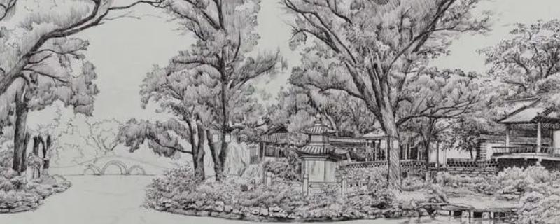 素描之后学什么,会进入到速写的阶段