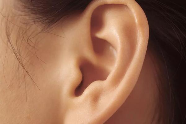 耳朵是由哪些部位组成的，由外耳、中耳、内耳组成
