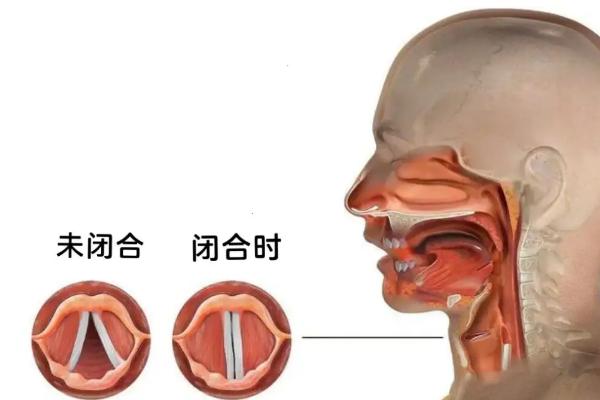 声带边缘化发声是什么，声带是属于拉紧的方式