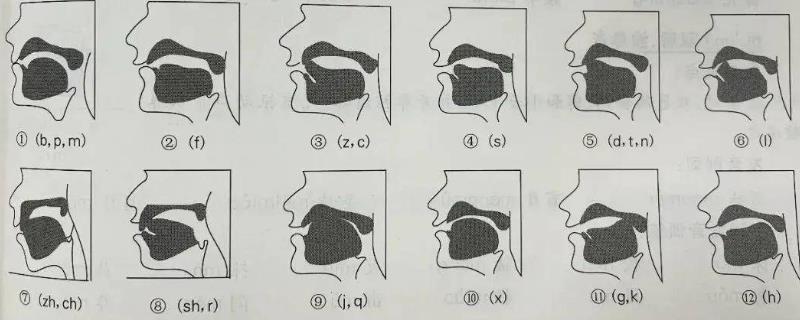 普通话塞音怎么发声，发音部位完全形成闭塞