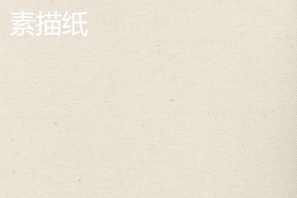 速写纸和素描纸是一样吗，质地、大小以及作用都不一样