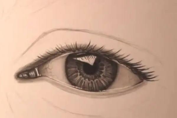 怎么画人物的眼睛，第一步绘制眼睛基本形状