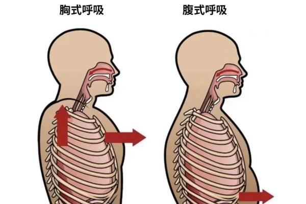 播音主持的气息不足怎么处理，采用软口盖练习法、压腹数数法等