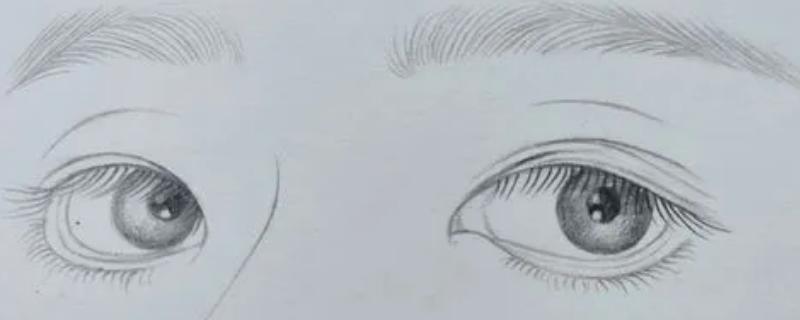 怎么画插画人物的眼睛，首先确定好眼睛的位置