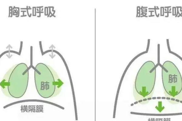 伪音分为哪些类型，分为萝莉音、正太音、少女音、青年音等