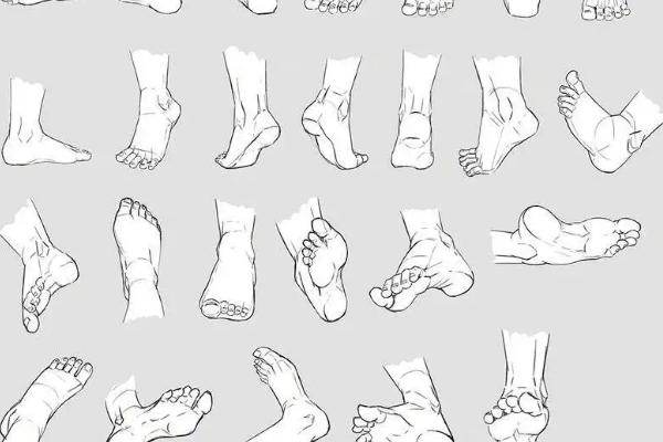 正面人物的脚怎么画，先从小腿到脚踝再到脚背和脚趾