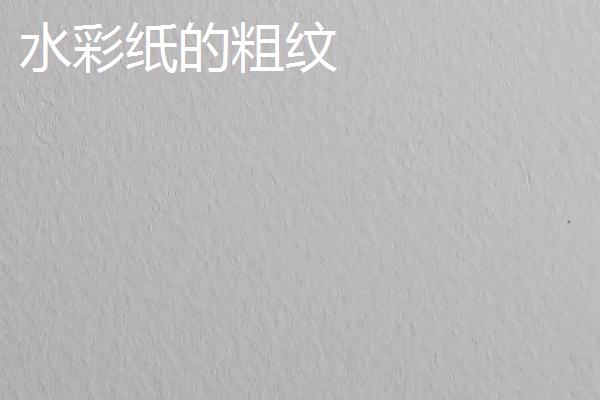 水彩纸的粗纹和细纹有什么区别，粗纹更加适合新手