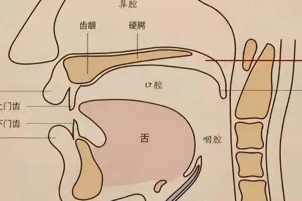 如何做到吐字清楚，一定要咬住字头