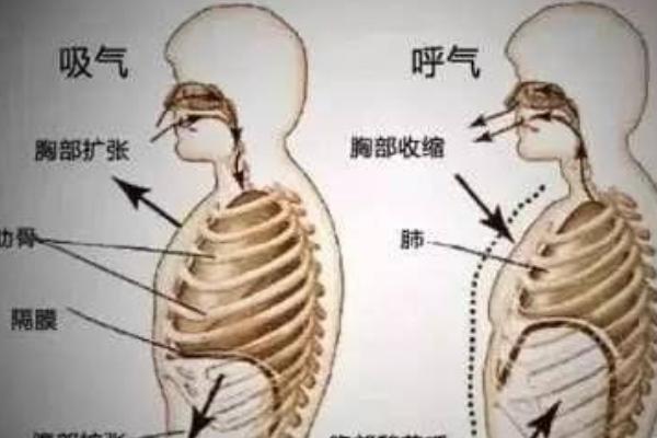 伪音怎么练不伤嗓子，可尝试鼻腔共鸣、口腔共鸣、胸腔共鸣