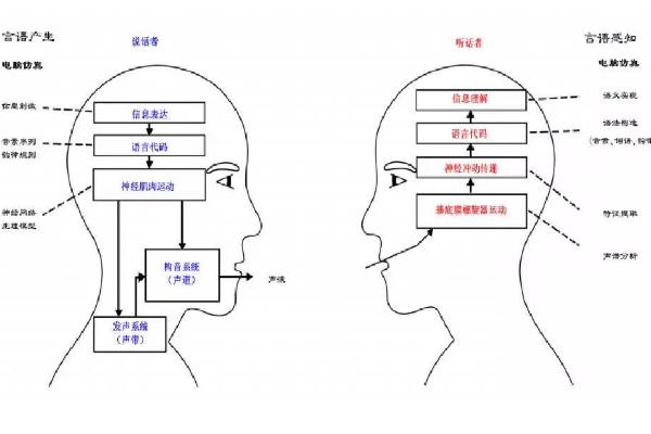 伪音咽腔共鸣怎么练，喉头需做到可以保持在较低的位置上