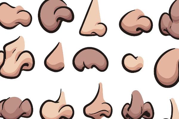 扁平风人物的鼻子形状怎么画，不同方位的画法不同