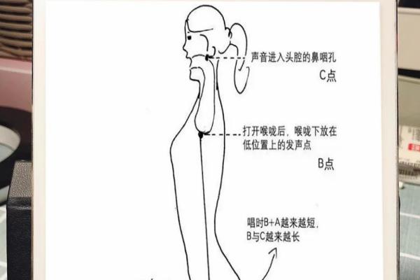 怎样用气发声，包括压腹数数法、气声数数法