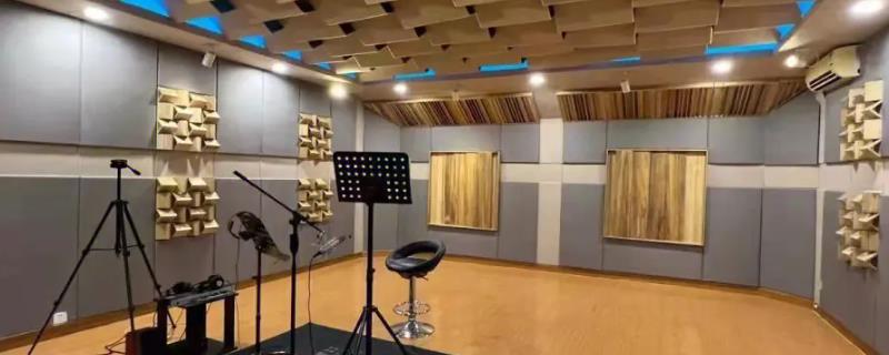 配音需要专业学配音的才能赚钱吗,建议不断学习