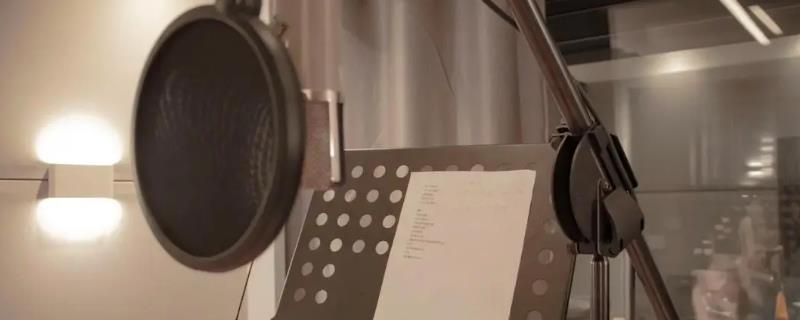 靠声音怎么赚钱,可以选择配音或作音频主播等
