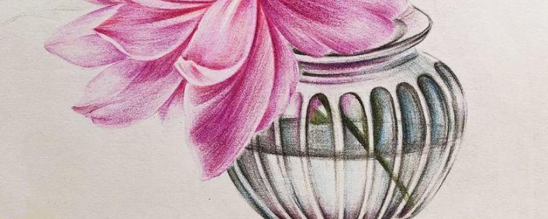 花瓶插画如何画对称,首先需要构建花瓶的基本形状