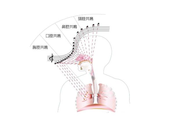 小白如何用腹腔发声，首先要学会深呼吸