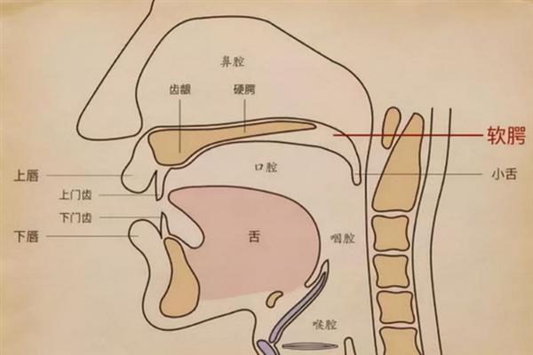 播音主持如何才能正确保护嗓子，不要过度用嗓